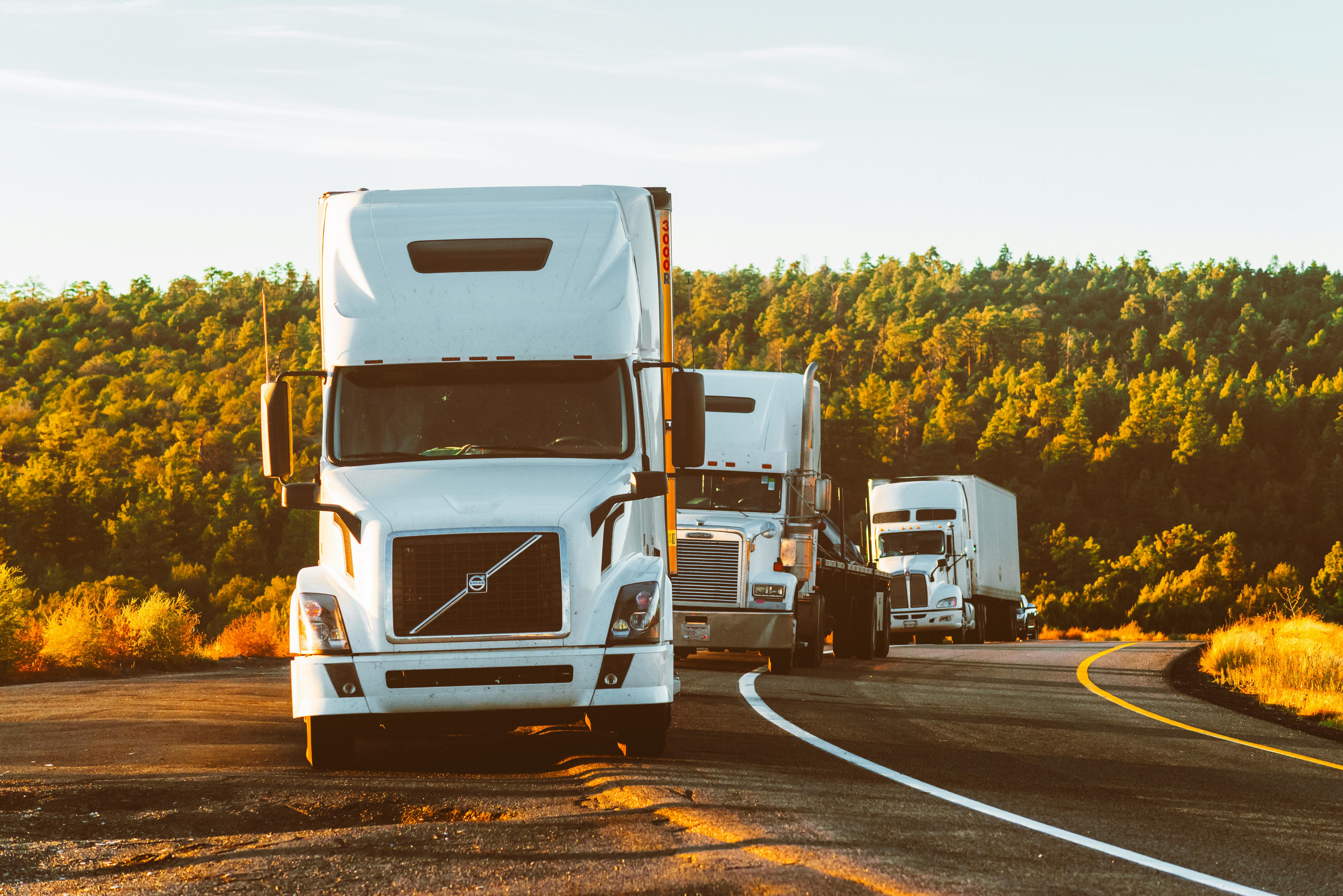 Streamlining Trucking Operations with VivaFleet.com's Customizable Features